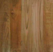 Global B2B directory Global trade lead